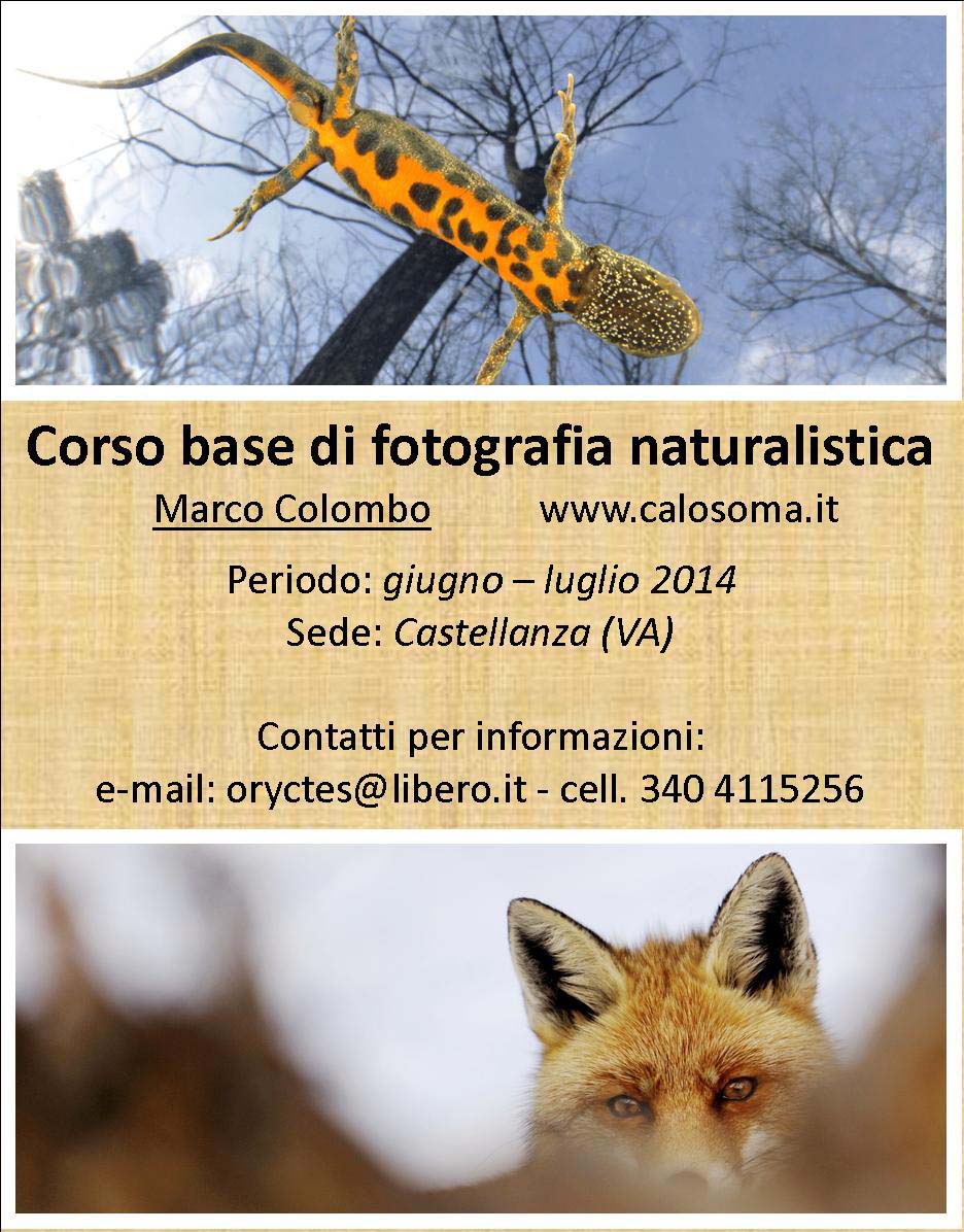 corso base fotografia naturalistica